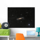 Ngc 3628 Hamburger Galaxy Wall Decal