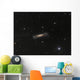 Ngc 3628 Hamburger Galaxy Wall Decal
