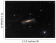 Ngc 3628 Hamburger Galaxy Wall Decal