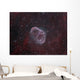Ngc 6888 Crescent Nebula Wall Decal