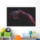 Ngc 6992 Eastern Veil Wall Decal