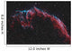 Ngc 6992 Eastern Veil Wall Decal