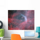 Wr 134 Wolf-rayet Star Wall Decal