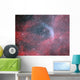 Wr 134 Wolf-rayet Star Wall Decal