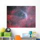 Wr 134 Wolf-rayet Star Wall Decal
