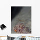 Cleaner Shrimp Yap Micronesia Wall Decal