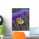 Pink Anemonefish Yap Micronesia Close-up Wall Decal