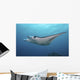 Manta Ray Yap Micronesia Wall Decal