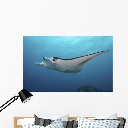 Manta Ray Yap Micronesia Wall Decal