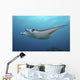 Manta Ray Yap Micronesia Wall Decal