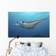 Manta Ray Yap Micronesia Wall Decal