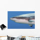 Grey Reef Shark Yap Wall Decal
