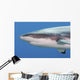 Grey Reef Shark Yap Wall Decal