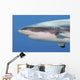 Grey Reef Shark Yap Wall Decal