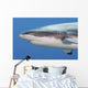 Grey Reef Shark Yap Wall Decal