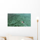 Aerial Diving Boat Yap Wall Decal