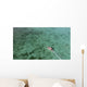 Aerial Diving Boat Yap Wall Decal