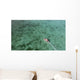 Aerial Diving Boat Yap Wall Decal