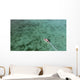 Aerial Diving Boat Yap Wall Decal