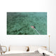 Aerial Diving Boat Yap Wall Decal