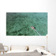 Aerial Diving Boat Yap Wall Decal