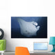 Manta Ray Yap Micronesia Close-up Wall Decal