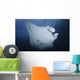 Manta Ray Yap Micronesia Close-up Wall Decal