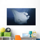Manta Ray Yap Micronesia Close-up Wall Decal
