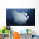 Manta Ray Yap Micronesia Close-up Wall Decal