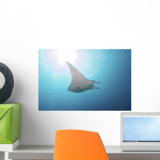 Manta Ray Yap Micronesia Distant Wall Decal