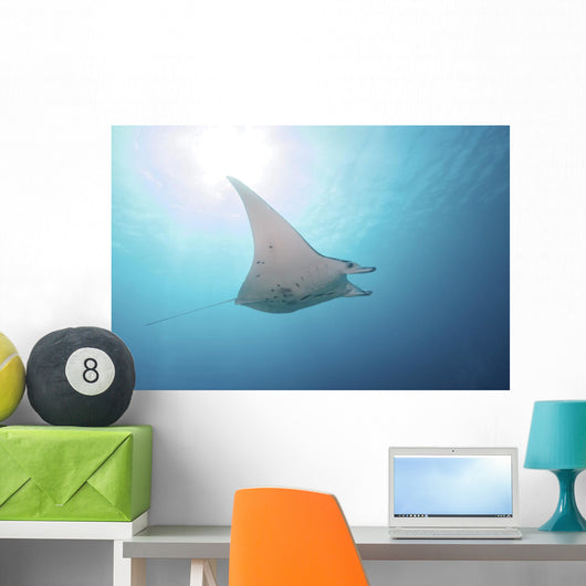 Manta Ray Yap Micronesia Distant Wall Decal