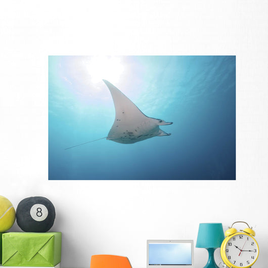 Manta Ray Yap Micronesia Distant Wall Decal