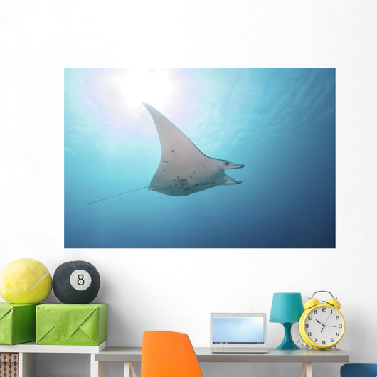 Manta Ray Yap Micronesia Distant Wall Decal