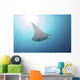 Manta Ray Yap Micronesia Distant Wall Decal