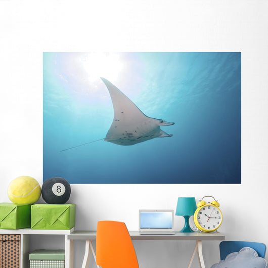 Manta Ray Yap Micronesia Distant Wall Decal