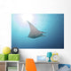 Manta Ray Yap Micronesia Distant Wall Decal