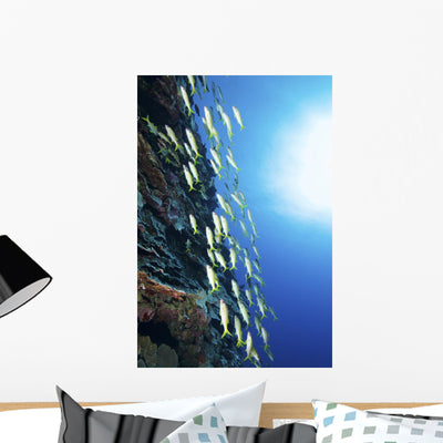 School Yellow Goatfish Yap Wall Decal shown on a wall