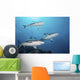Three Grey Reef Sharks Yap Wall Decal
