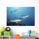 Three Grey Reef Sharks Yap Wall Decal