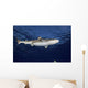 Blacktip Reef Shark Yap Bottom Wall Decal