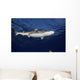 Blacktip Reef Shark Yap Bottom Wall Decal