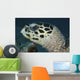 Turtle Portrait Yap Micronesia Wall Decal