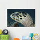 Turtle Portrait Yap Micronesia Wall Decal