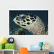 Turtle Portrait Yap Micronesia Wall Decal