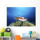 Broadclub Cuttlefish Yap Micronesia Wall Decal