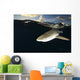 Blacktip Reef Shark Yap Wall Decal