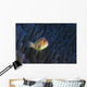 Pink Anemonefish Yap Micronesia Wall Decal