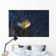 Pink Anemonefish Yap Micronesia Wall Decal