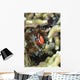 Tomato Clownfish Yap Micronesia Wall Decal