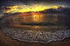 Another Day Paradise Wall Decal